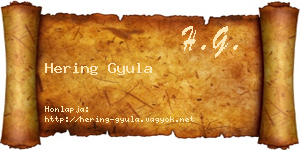 Hering Gyula névjegykártya